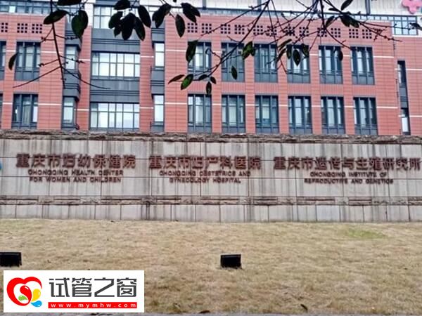 重庆市妇幼保健院三代试管婴儿助孕花销公开,医生:6万起(图2) 重庆三代试管手术费用高不高