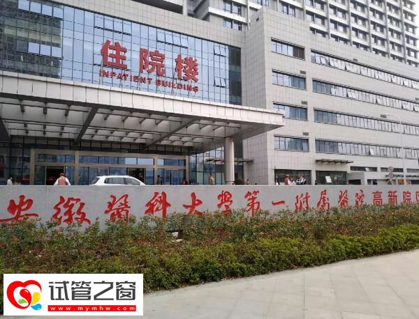 合肥三代试管婴儿助孕花费速览，具体几万给你算清楚！