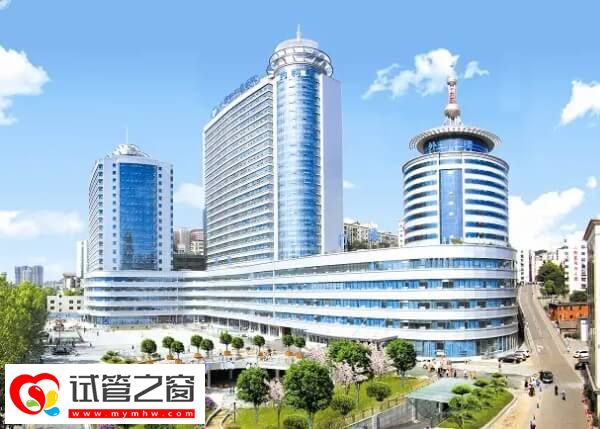 十堰市人民医院试管养囊成功率多少