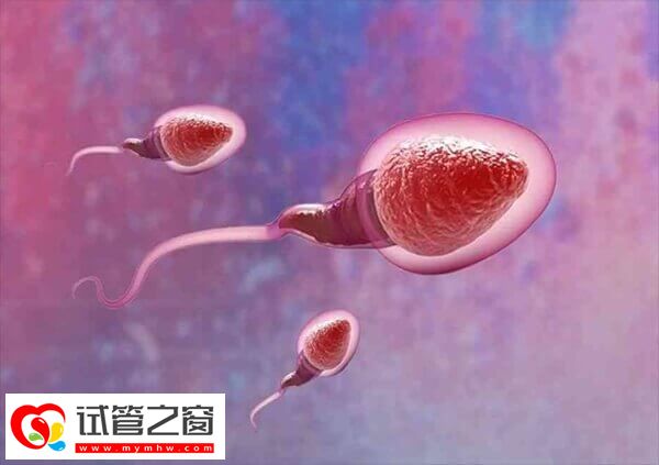 呼和浩特人工授精医院排名是怎样