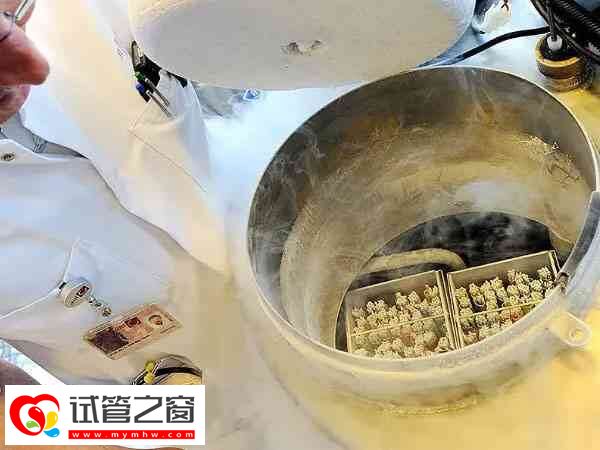 石家庄冻卵多少钱