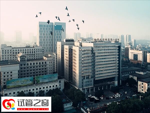 南华附一院二代试管成功率多少