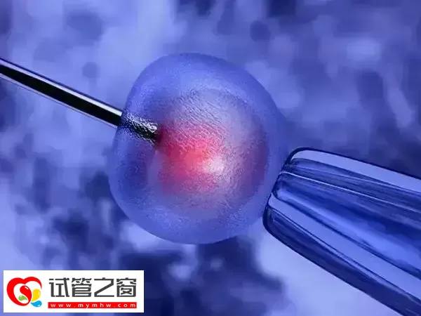 试管婴儿取卵结果数量少怎么办(图1) 取卵数量太少会影响试管成功率