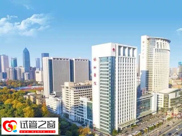 武汉三代试管婴儿医院速览,还有花费别漏看!(图1) 武汉三代试管成功率多少