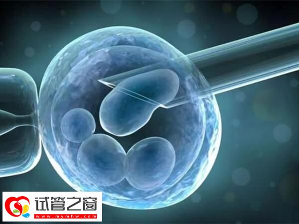 大同试管机构有哪些
