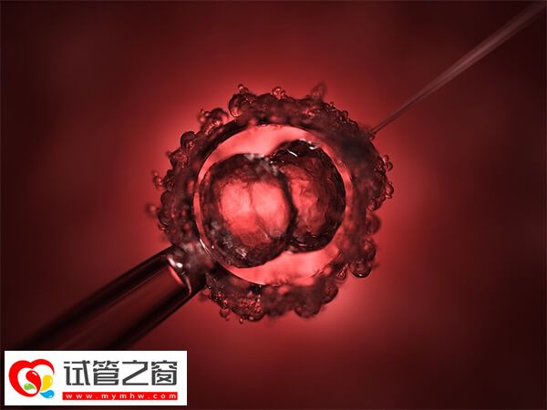 长治试管成功率多少