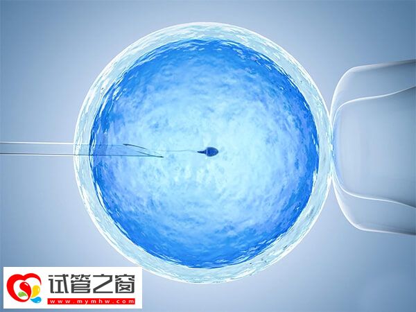 廊坊试管婴儿医院哪家好(图1) 廊坊地区只有一家医院能做试管