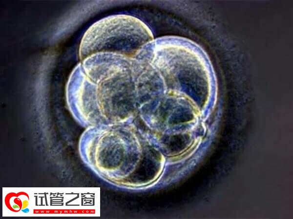 廊坊试管婴儿费用高不高(图1) 廊坊试管婴儿手术费约1-2万元