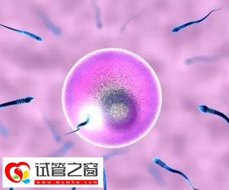 徐州试管婴儿医院有哪些