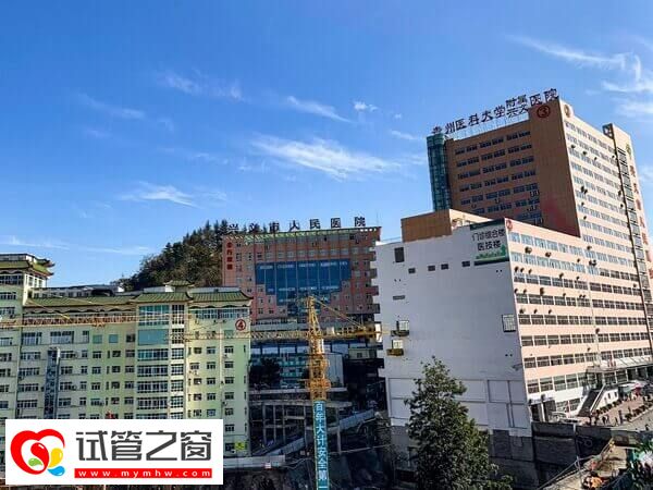 兴义有哪些试管婴儿医院