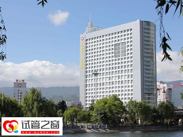 大理大学第一附属医院二代试管婴儿全部费用多少？