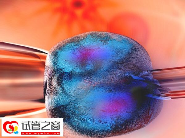 石家庄市妇产医院做三代试管婴儿步骤是什么