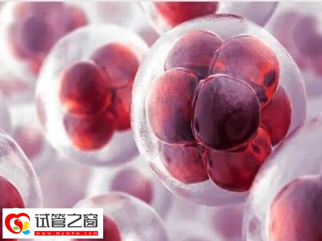 长春妇产医院做试管有哪些流程