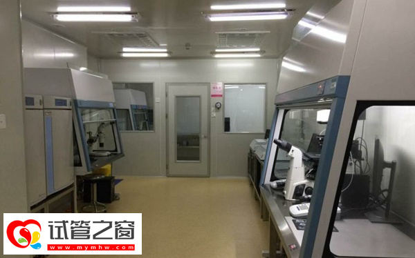 试管婴儿三代筛查过程是怎样的(图2) PGD筛查包含极体活检