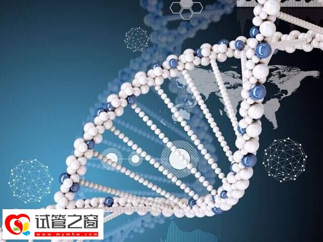 三代试管pgs筛查是什么意思(图2) 禁止非医学需求的胎儿性别鉴定