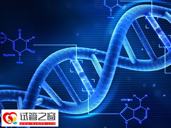 三代试管pgs筛查是什么意思(图3) 三代试管可以检测胚胎染色体结构和数目