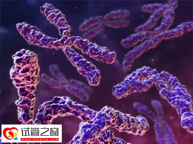 试管三代胚胎筛查结果咋看(图2) 解读报告要重点关注染色体筛查结果