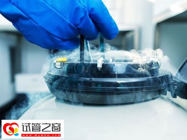 试管胚胎冷冻续费提前时间(图1) 冻胚续费可以在周六日交