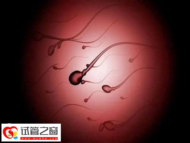 试管成功和什么有关(图1) 精子质量好试管成功率会更高