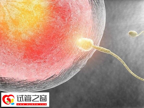 试管成功和什么有关(图2) 少精弱精会影响胚胎质量