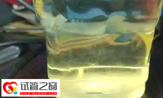 怀孕7周看男女小技巧,从胎心率和肚子形状就能知道(图3) 酒精测试法来判断胎儿男女是一种不可取的