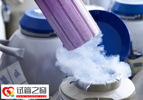 胚胎解冻前还需要检查什么(图1) 胚胎解冻前要检查
