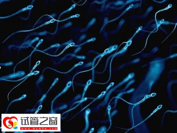 精氨酸对提高精子质量的作用(图2) 精子质量影响男性能力
