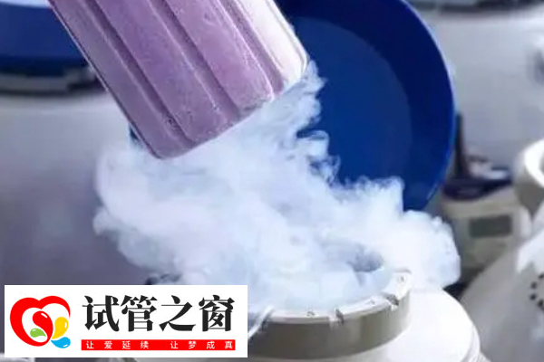 女性冻卵后什么时候能生育(图1) 女性的年龄会影响冻卵试管成功率