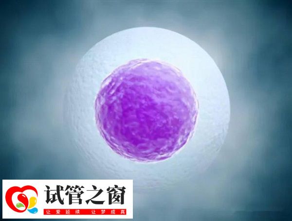 女性冻卵后什么时候能生育(图2) 女性的生育能力会随着年龄的增长而逐渐减弱