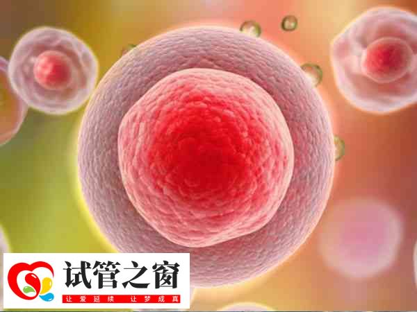 试管二次移植要不要重新建档(图2) 试管多余胚胎可冷冻保存