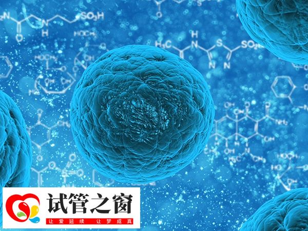 供卵与母体血型不同可不可以(图3) 受精卵的血型和供卵者不同要做检查