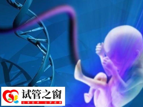 供卵与母体血型不同可不可以(图2) 胚胎一半的基因来自父亲