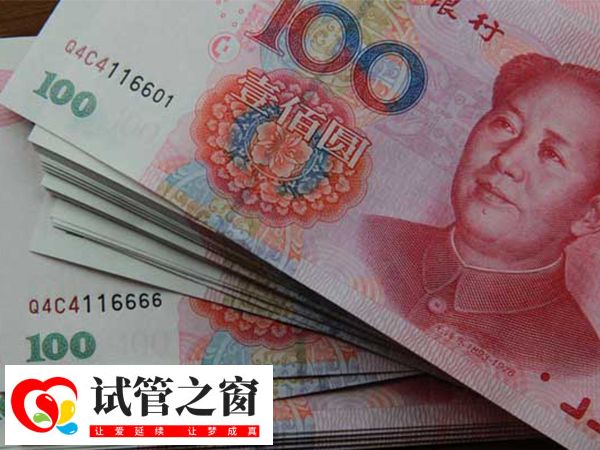 单身试管婴儿费用大概要多少钱