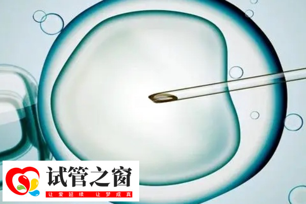 单身试管婴儿费用大概要多少钱(图2) 国内不允许单身人士做试管婴儿
