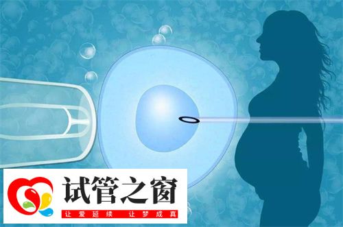 2次试管婴儿成功案例分析!试管助孕前做好哪些事能避免2次移植(图1) 2次试管婴儿成功案例分析!试管助孕前做好哪些事能避免2次移植(图1)