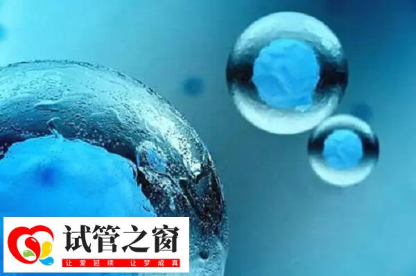 试管移植前怎么调理容易着床(图1) 试管移植前要注意合理饮食