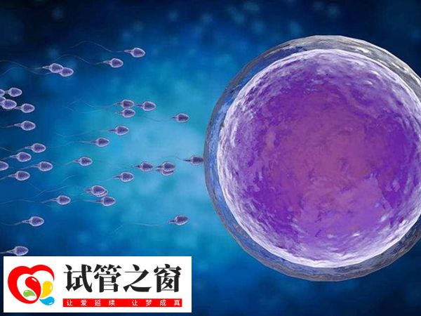 2025四川人民医院试管婴儿费用大概多少?单周期大约3-7万元(图2) 长方案降调后促排时间大约为10-14天