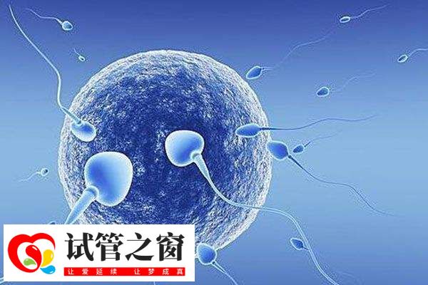 打降调后什么时候移植冻胚(图1) 人工周期冻胚移植要6-8周