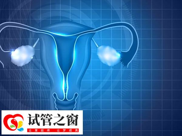 做试管婴儿卵巢早衰解决方法是什么(图1) 做试管可能会引起卵巢早衰