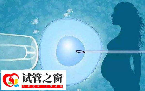 新医三附院试管婴儿成功经验(图1) 新医三附院试管成功率不低