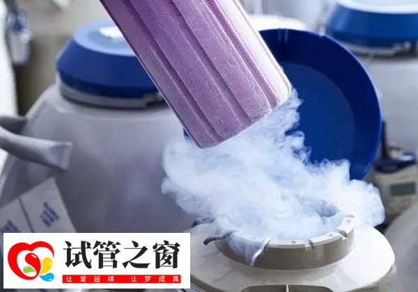 罗湖区医院冻胚的管多少个以上免费(图3) 胚胎冷冻按管数收费