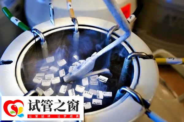 罗湖区医院冻胚的管多少个以上免费(图2) 试管胚胎解冻要付费