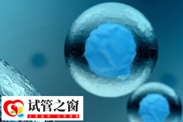 实施试管几月份生女儿多(图1) 试管婴儿技术不受月份的影响