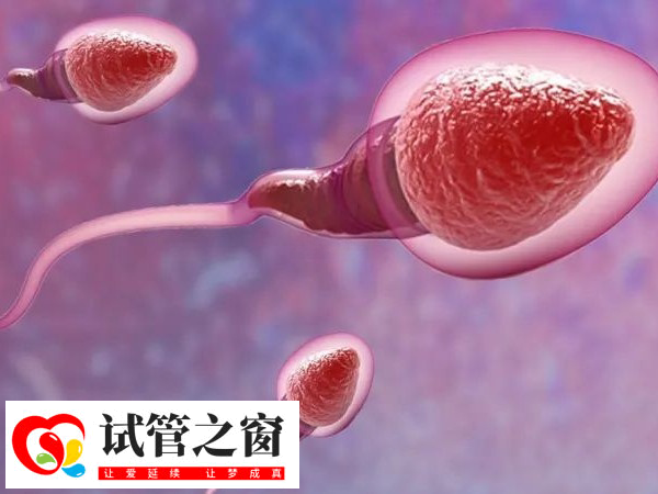 实施试管几月份生女儿多(图2) 3-5月份和8-9月做试管成功率高