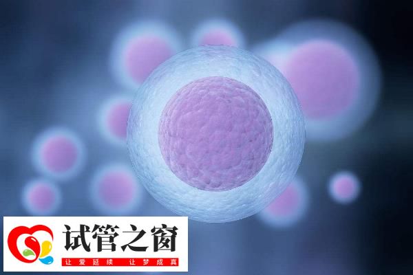试管婴儿植入多个胚胎有风险吗 高龄女性做试管最好移植几个胚胎?(图2) 年龄达到35岁移植2-3个胚胎