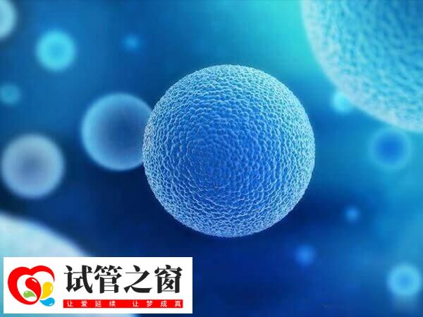 超长方案卵泡少是好事还是坏事(图1) 超长方案会先降调