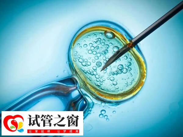 试管拮抗剂方案有什么坏处(图2) 拮抗剂方案容易出现黄体功能不足