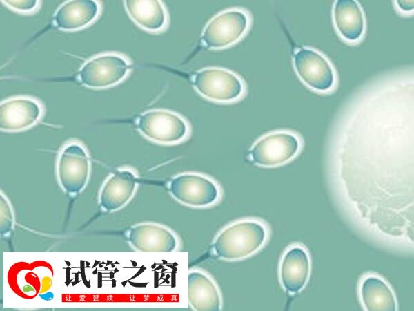 试管婴儿精子的活力分为几个等级(图2) 避免不良习惯可以提高精子活力