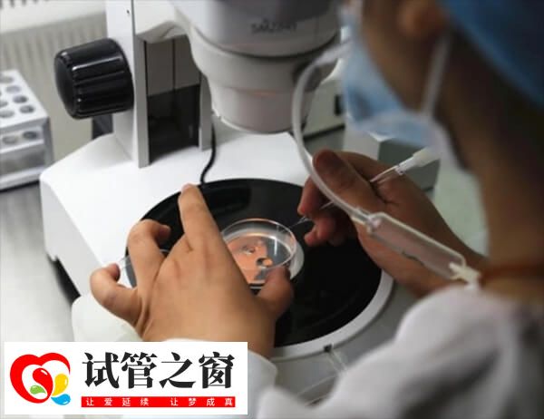 胚胎质量一般是移植还是促排好(图2) 胚胎质量一般也可以选择重新促排