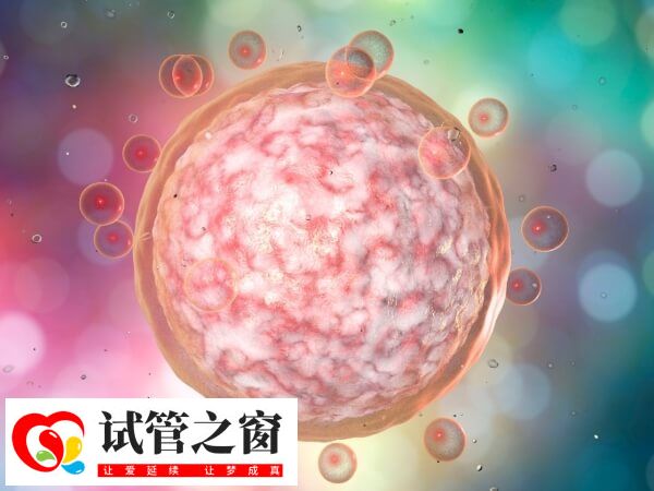 试管第一次失败正不正常(图2) 试管一次成功的几率约40%